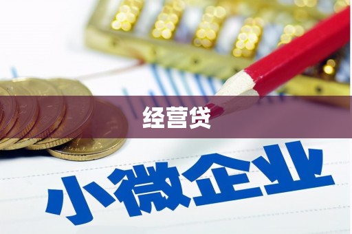 滨海经营贷