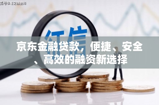 滨海京东金融贷款，便捷、安全、高效的融资新选择