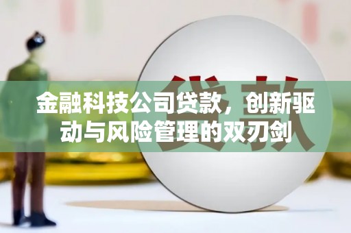 滨海金融科技公司贷款，创新驱动与风险管理的双刃剑