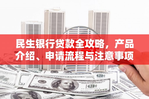 滨海民生银行贷款全攻略，产品介绍、申请流程与注意事项