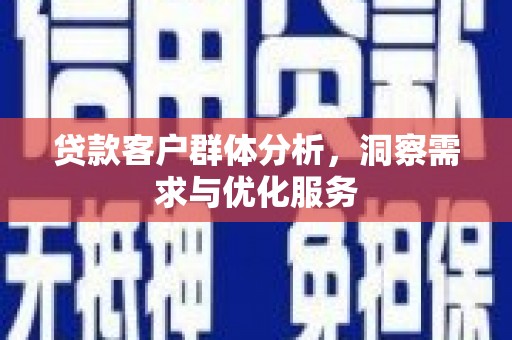滨海贷款客户群体分析，洞察需求与优化服务
