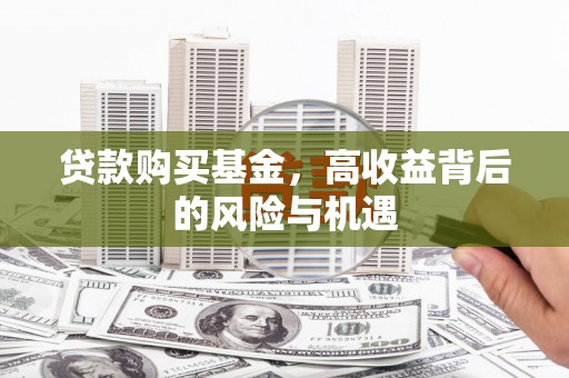 滨海贷款购买基金，高收益背后的风险与机遇