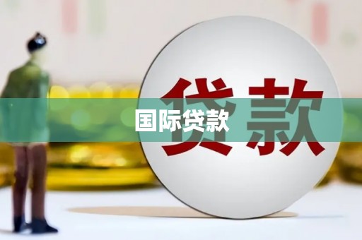 滨海国际贷款